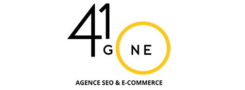 log Agence 410 Gone Magento et SEO